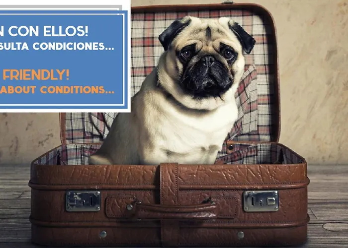 Puerta Del Mar Family By Cadiz4rentals * Кадіс